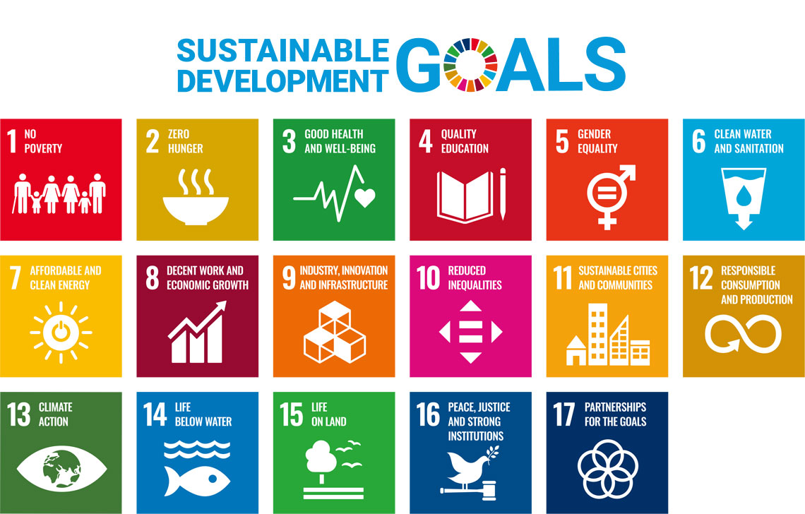 The Sustainable Development Goals (SDGs)