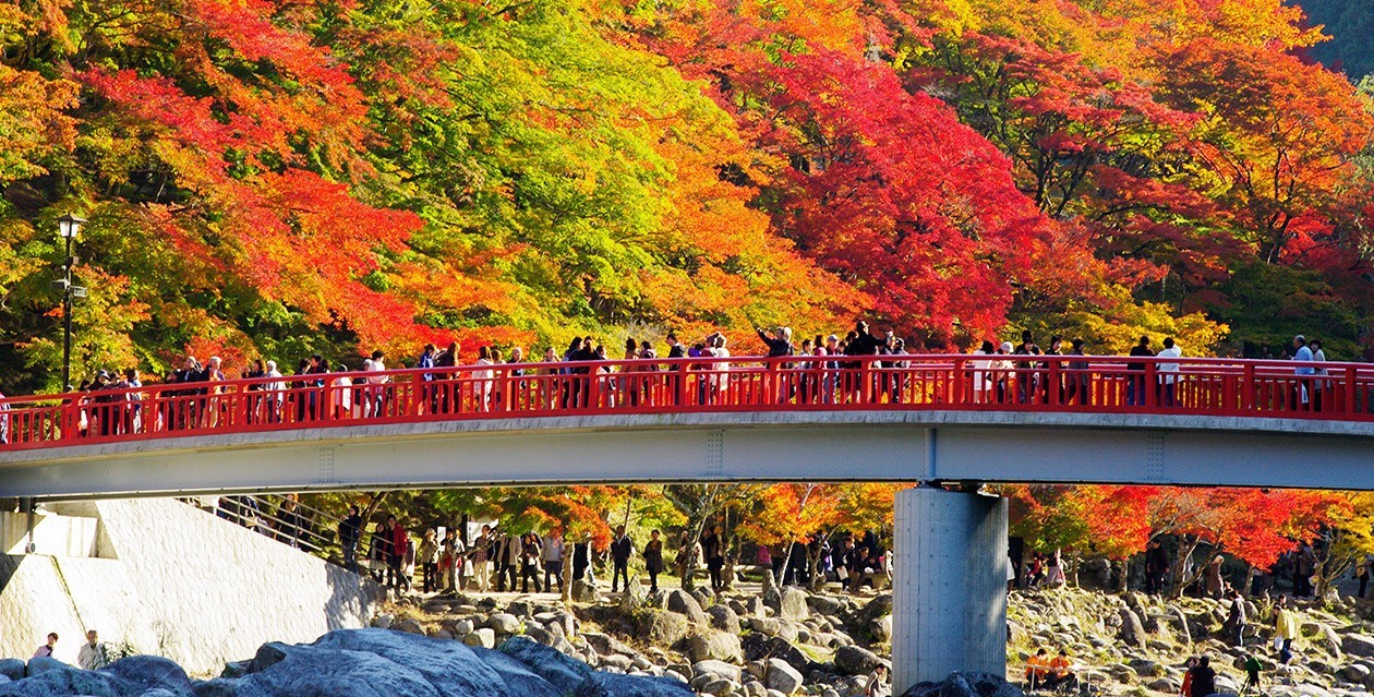 香嵐渓で紅葉狩り