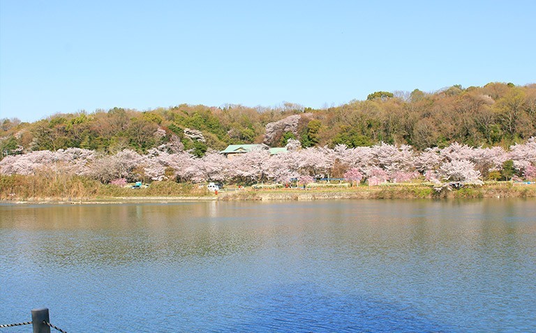 水源公園