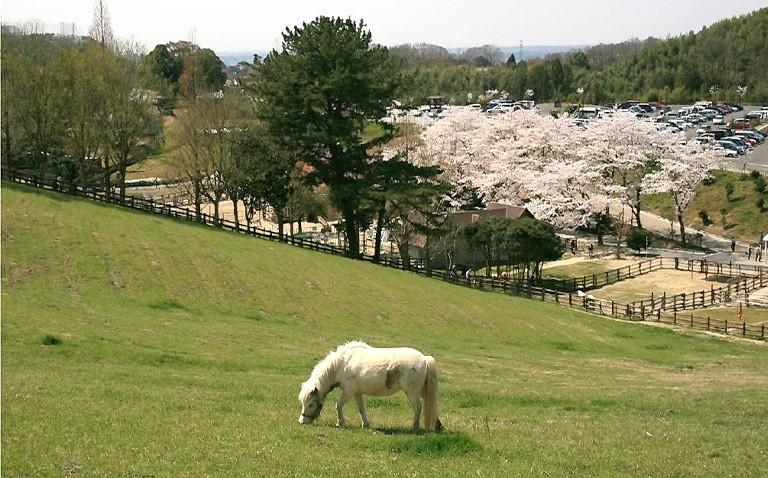 鞍ヶ池公園