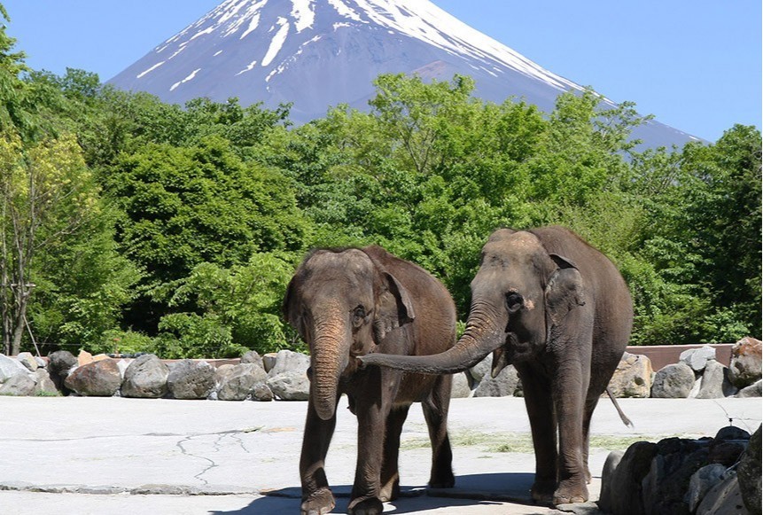 ご夫婦で過ごす 安らぎの休日をサポートします