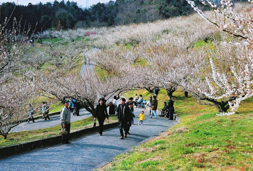 ご夫婦で過ごす 安らぎの休日をサポートします