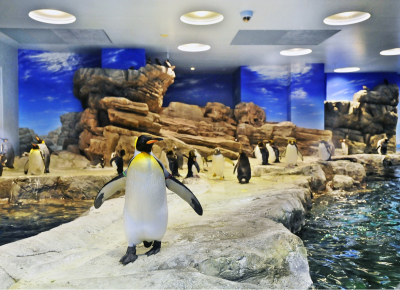 しものせき水族館