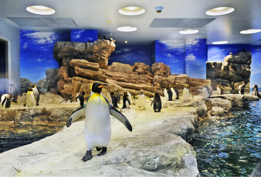 しものせき水族館　海響館