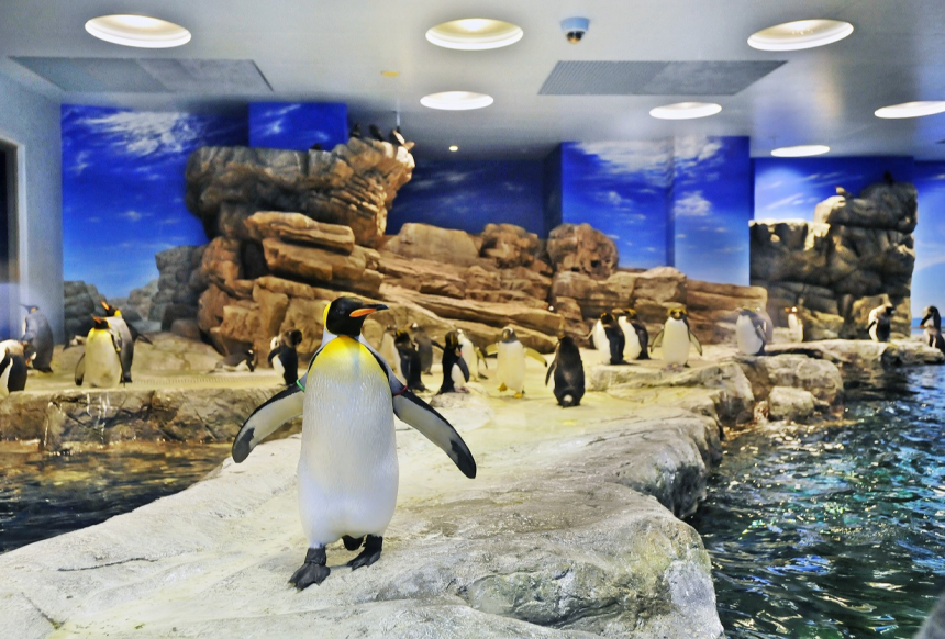 しものせき水族館