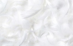 Feather comforters