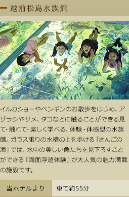 越前松島水族館