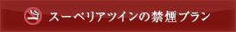 スーペリアツインの禁煙プラン