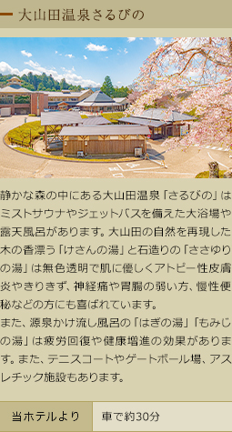 大山田温泉さるびの