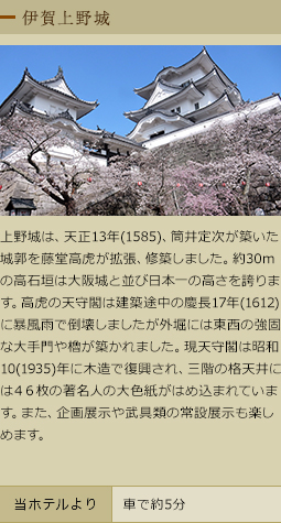 伊賀上野城