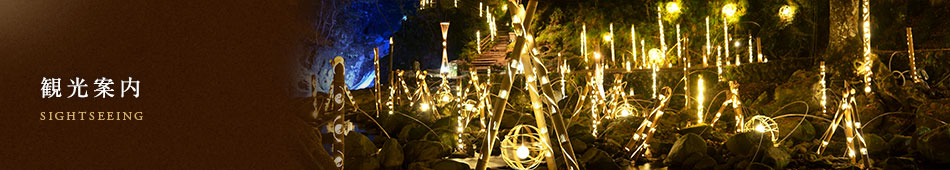 観光案内