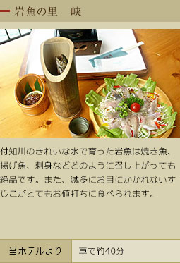 岩魚の里　峡
