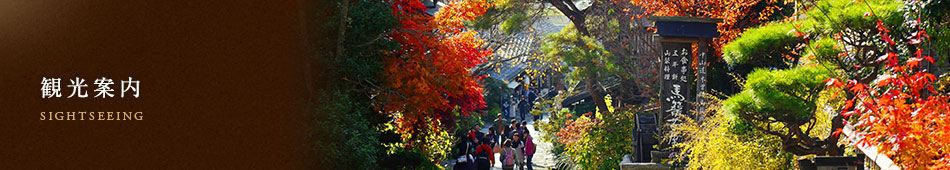 観光案内