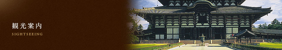 観光案内